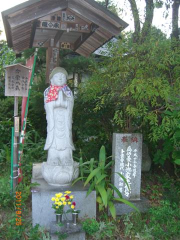 肢n
